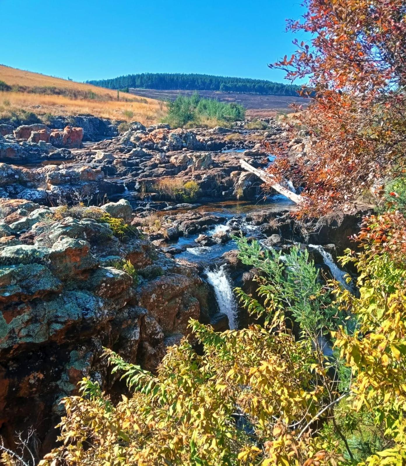 Eagles Nest Chalets Хейзивью Экстерьер фото